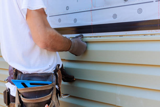 Affordable Vinyl Siding solutions in Machipongo, VA